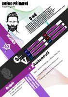 Cross Dragon CV - Trendy editable CV #3